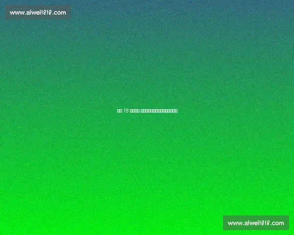 止步 16 强仍昂首 波津：这个夏天，我的油箱更满了