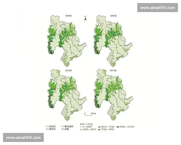 以vs 吧为中心的网络文化生态演变与用户互动社区发展趋势分析